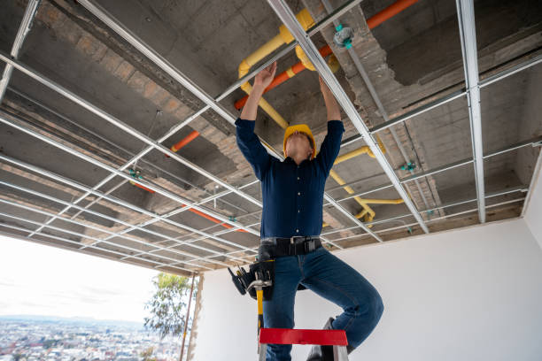 Best Commercial Plumbing Services  in Jonestown, TX